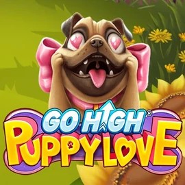Try Go High Puppy Love slot by RubyPlay on goldenbettingcasino.com – logo image
